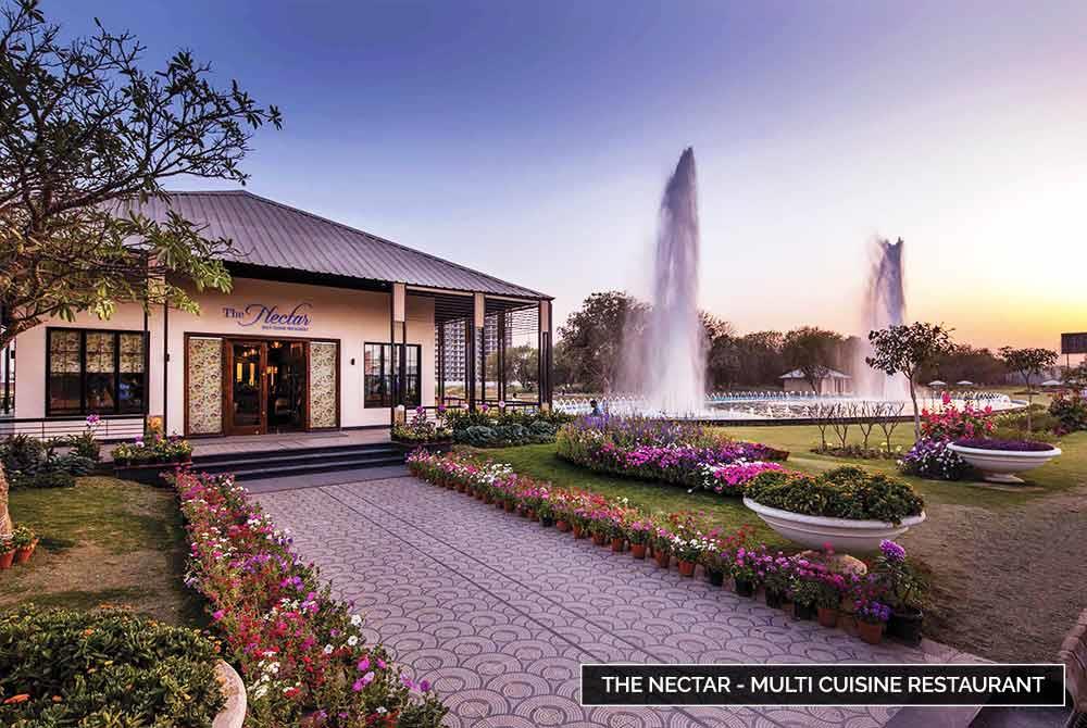 Central Park Cerise Floors Image