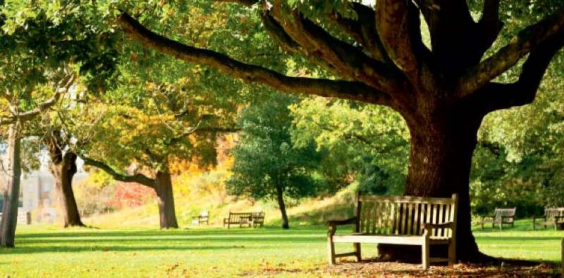 Lodha Sterling Image