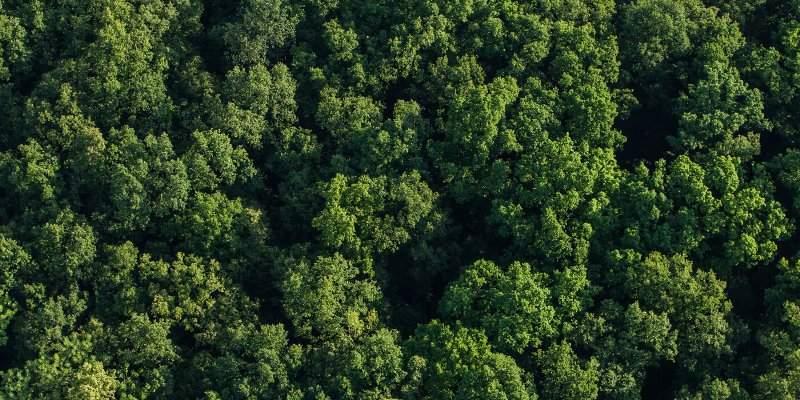Godrej Reserve Banner