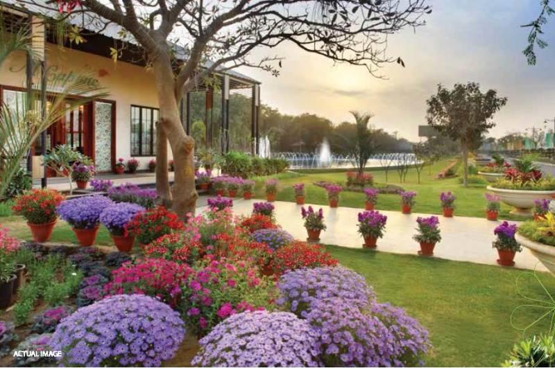 Central Park Clover Floors Banner