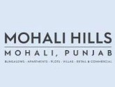 Emaar Mohali Hills Logo