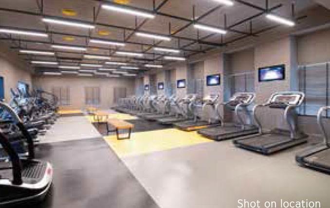 Lodha Codename Green Fortune Banner