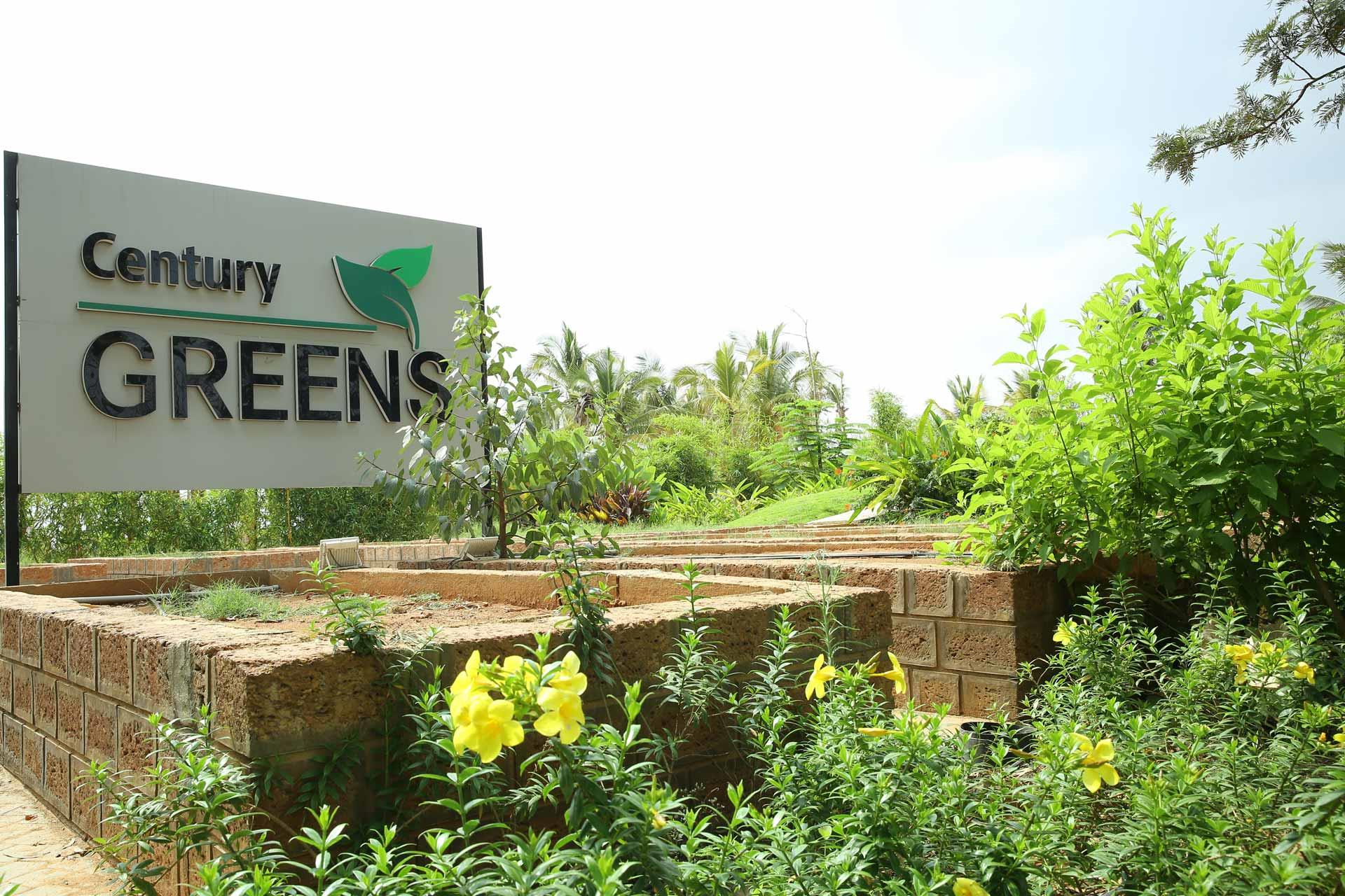 Century Greens Image