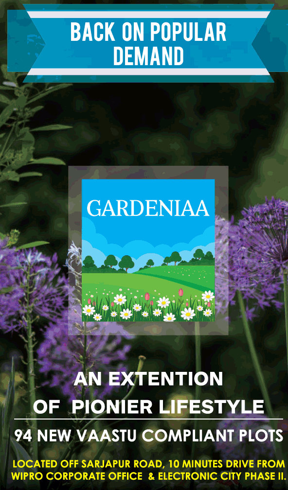 Pioneer Gardenia Image