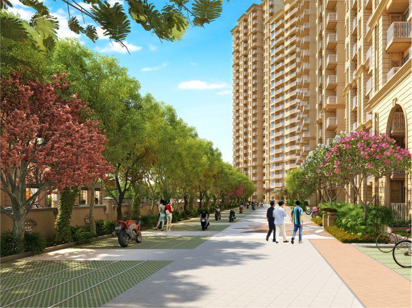 Signature Golf Greens Image