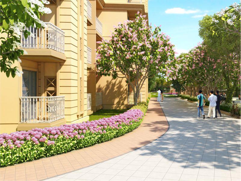 Signature Golf Greens Image