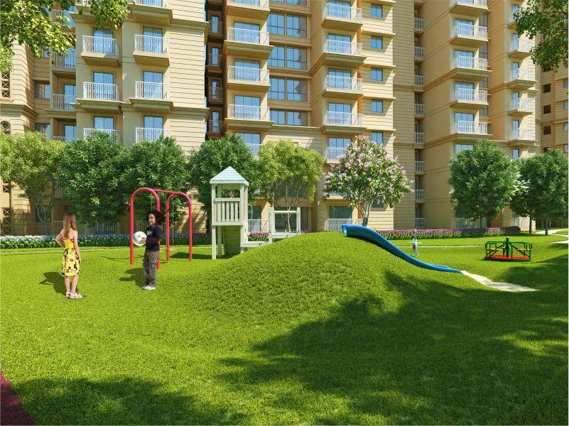 Signature Golf Greens Image