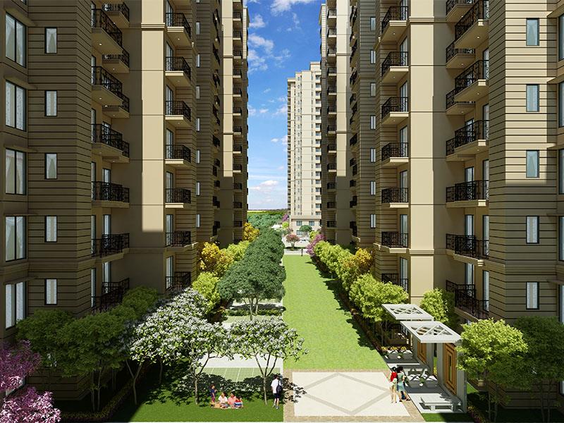 Signature The Millennia 3 Image