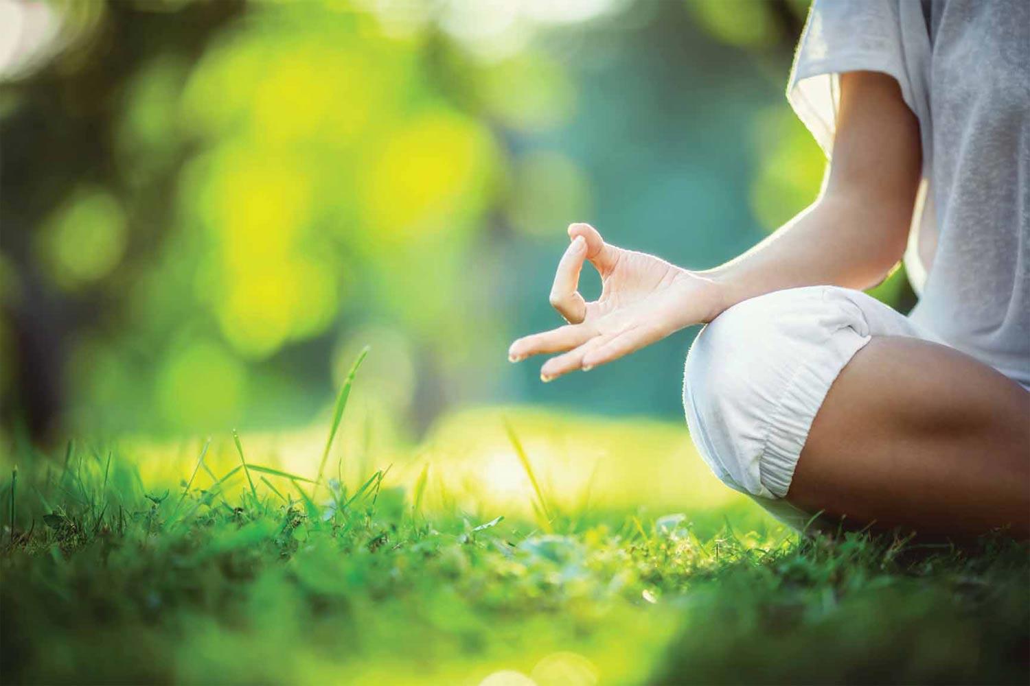 Lodha Codename Limited Edition Banner