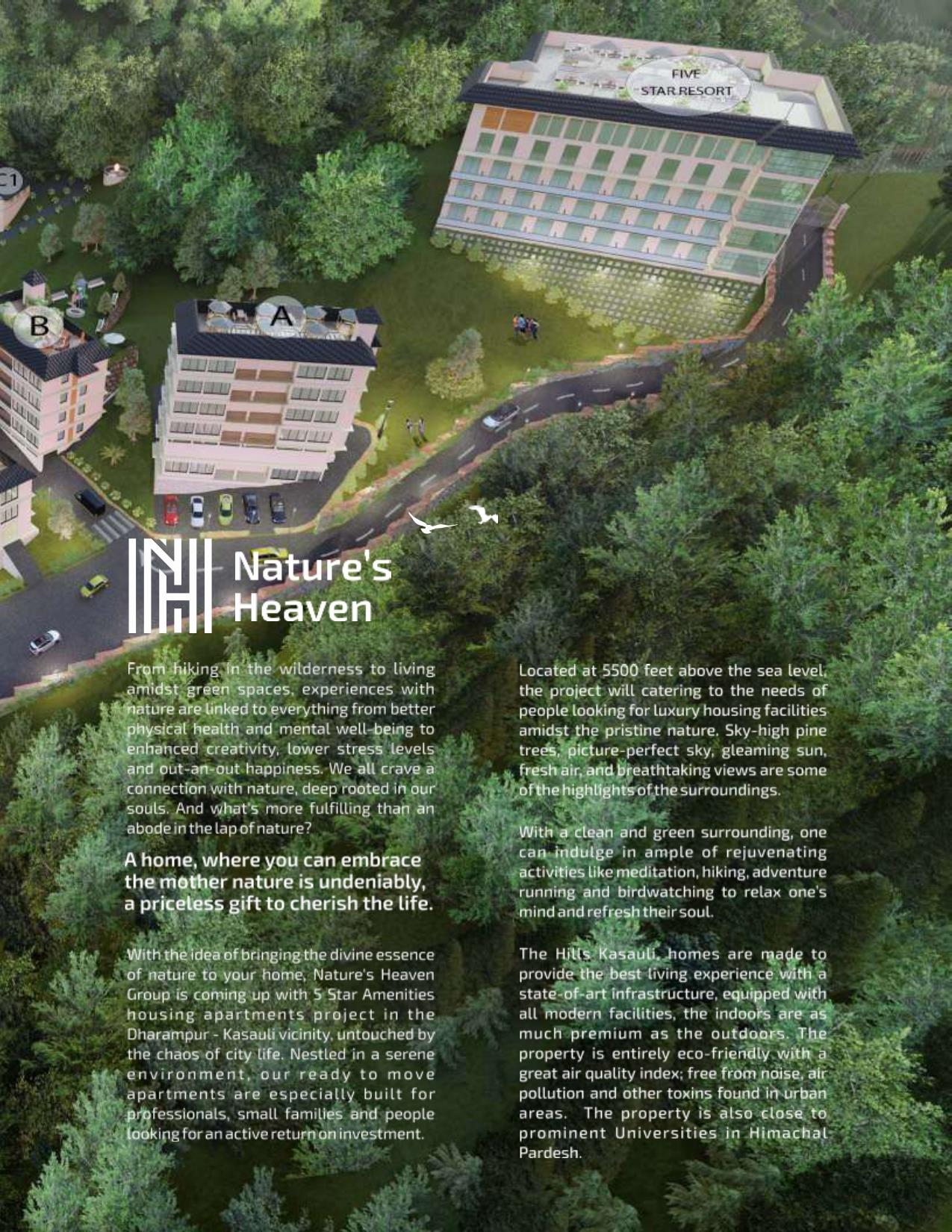 The Hills Kasauli Banner