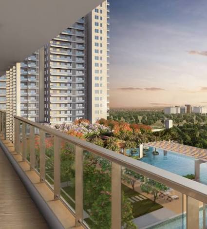 DLF Arbour Banner