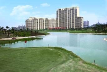 DLF The Camellias Update