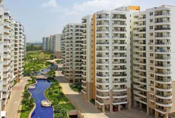 Purva Venezia Update