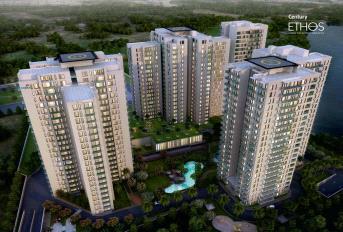 Century Ethos Update