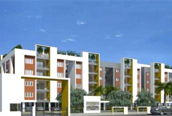 Casa Grande Irene Update