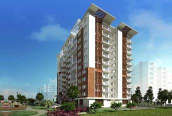 Ozone Urbana Avenue Update