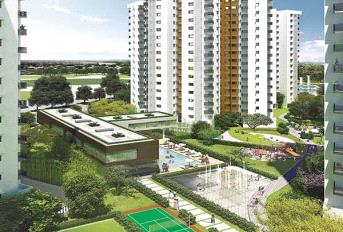 Adani Shantigram Elysium Update