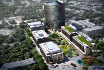 Vatika One on One Update