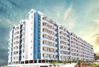 Citrus Aries Lakeview Update