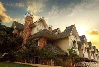 Citrus Springvillae Update