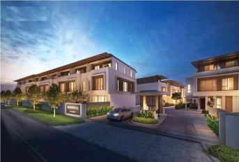 Goyal Alanoville Update