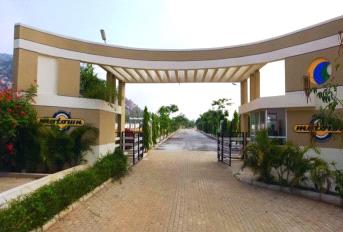 Citrus Motown Update