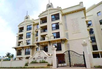 Legacy Celino Update