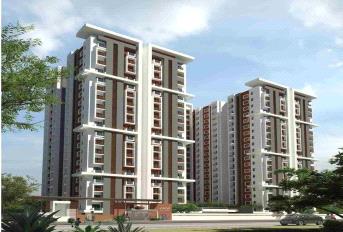 Arge Urban Bloom Update