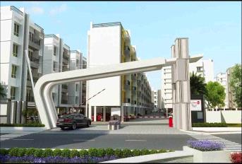 Urban Tree Oxygen Update