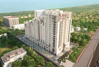 Adroit Artistica Update