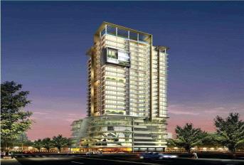 Sheth Beau Pride Update