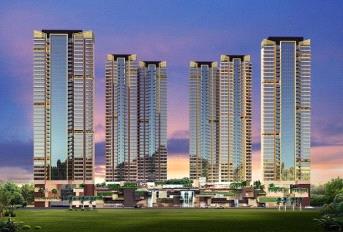 Sheth Montana Update