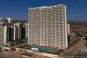 Paradise Sai Spring Update