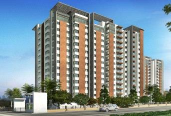 Arvind Sporcia Update