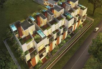 Century Avalon Update