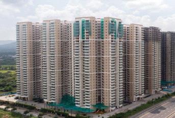 Marathon Nexzone Update