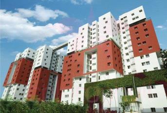 SPR Osian Chlorophyll Update