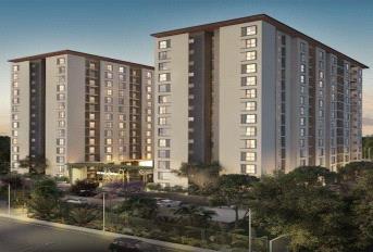 Assetz Here and Now Update