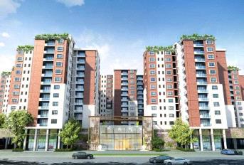 Bengal Emami Swan Court Update