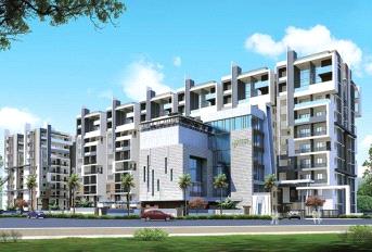 Lansum Greens Update