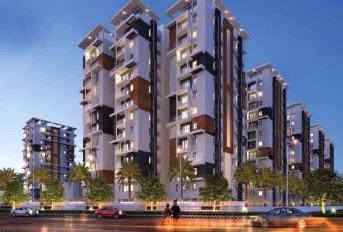 Honer Vivantis Update