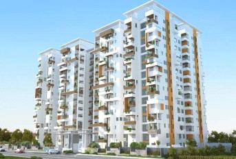 Northstar District 1 Update