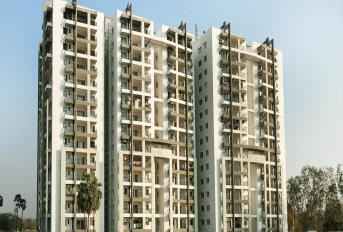 S and S Green Grace Update