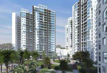 SNN Raj Etternia Update