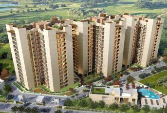 Sushma Grande Nxt Update