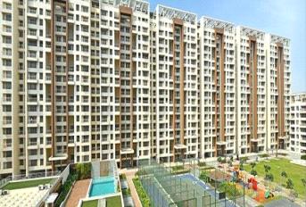 Neelsidhi Amarante Update