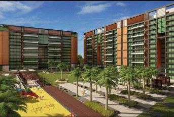 Privie Sienna Update