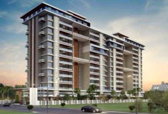 Privie Selena about project