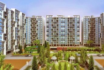 Guardian Eastern Meadows Update