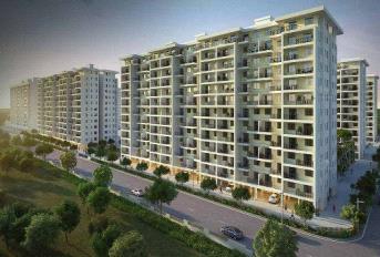 Kolte Patil IVY Estate Update
